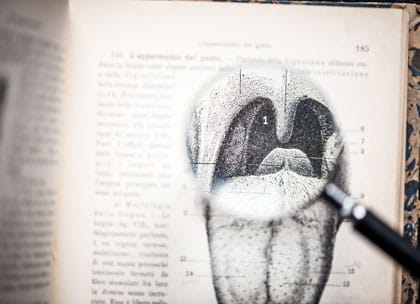Illustration of mouth in medical text